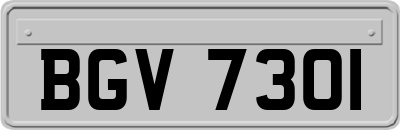 BGV7301