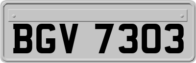 BGV7303