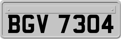 BGV7304