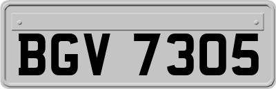 BGV7305