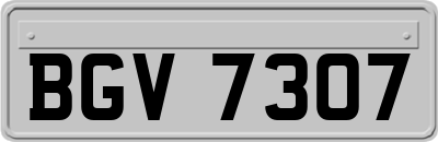 BGV7307