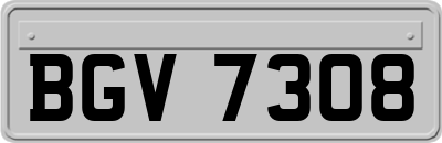 BGV7308