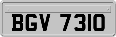 BGV7310