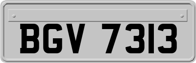 BGV7313