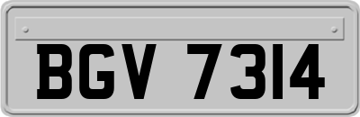 BGV7314