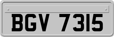 BGV7315