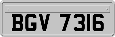 BGV7316