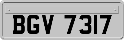 BGV7317