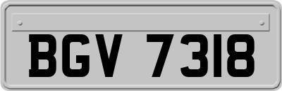 BGV7318