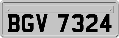 BGV7324