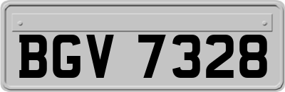 BGV7328