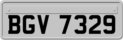 BGV7329