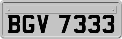 BGV7333