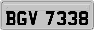 BGV7338