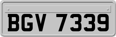 BGV7339