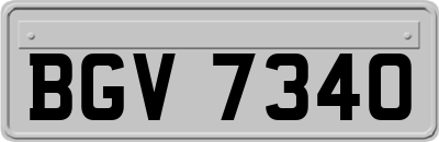 BGV7340
