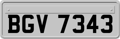 BGV7343