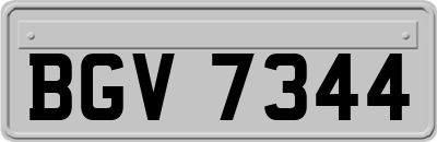 BGV7344