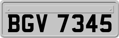 BGV7345