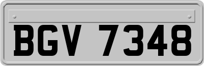BGV7348