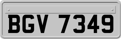 BGV7349