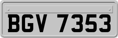 BGV7353