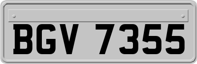 BGV7355
