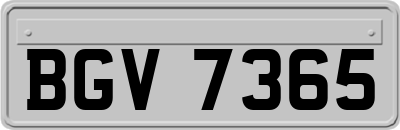BGV7365