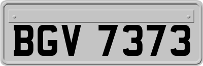 BGV7373