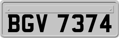 BGV7374
