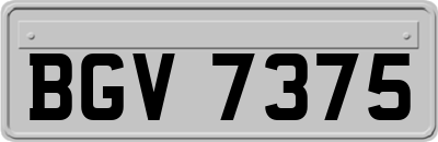 BGV7375