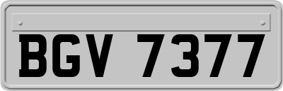 BGV7377