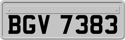 BGV7383