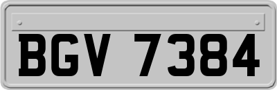 BGV7384