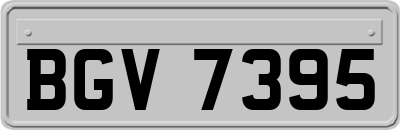 BGV7395
