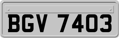 BGV7403