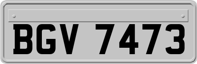 BGV7473