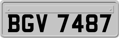 BGV7487