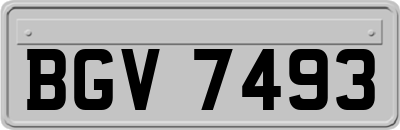 BGV7493