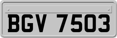 BGV7503