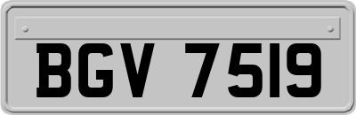 BGV7519