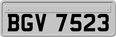 BGV7523
