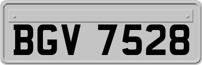 BGV7528