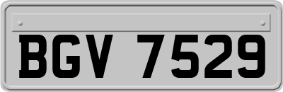BGV7529