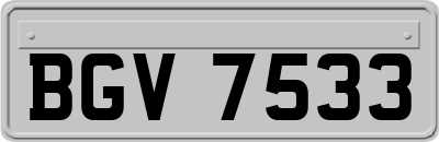 BGV7533