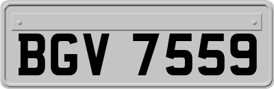 BGV7559