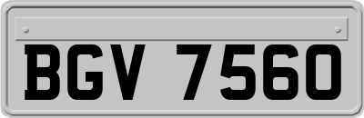 BGV7560
