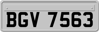 BGV7563