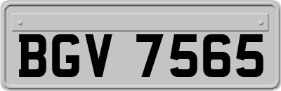 BGV7565