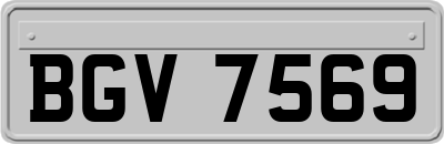 BGV7569